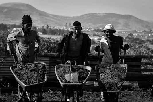 It Takes a Village - Milani Mtshotshisa