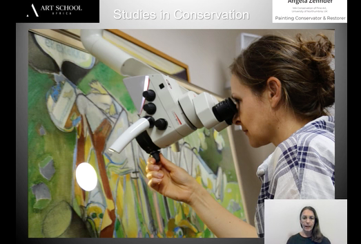 Angela Zehnder: Conservation Studies