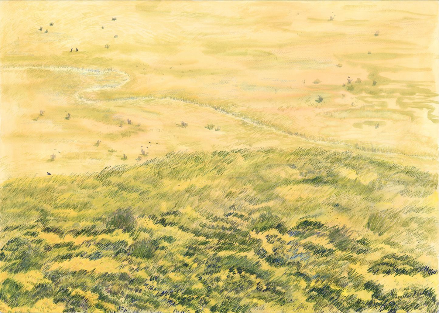 Bokkeveld in August - Annette Faul