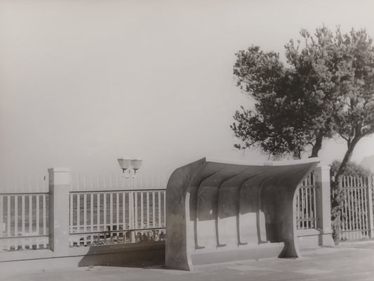 Opaque Clarity II - Myra Brown