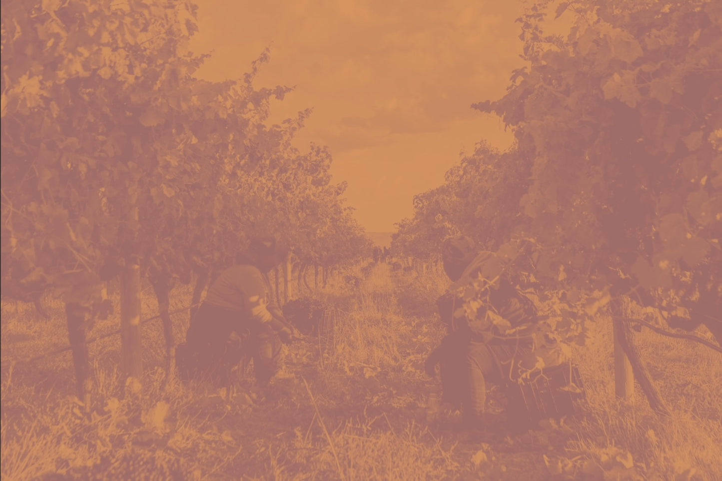 A Moment of Rest - Gina-Rose Bolligello