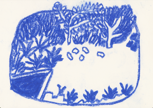 Back Garden - Pia Truscott