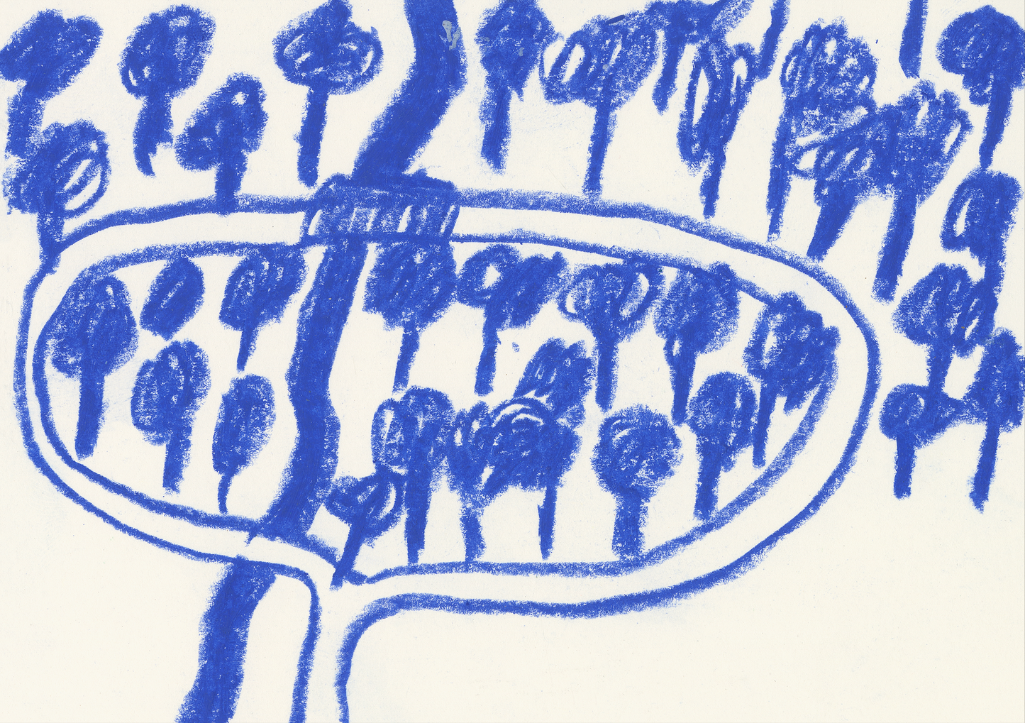 Newlands Forest - Pia Truscott