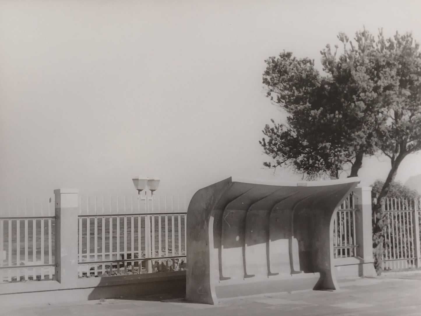 Opaque Clarity II - Myra Brown